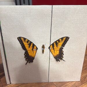paramore brand new eyes vinyl